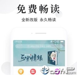 爱游戏版本的游戏